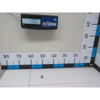 Болт Nissan EX/QX50 (J50) (2008 - 2017) 081108201D