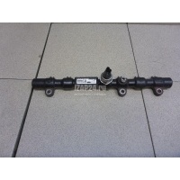 Рейка топливная (рампа) Ssang Yong Rexton I (2001 - 2006) 6650700295