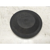 Крышка (заглушка) задняя фары правой Renault Scenic II (2003-2009) 2005 153874