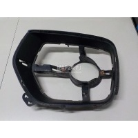 Кронштейн фары противотуманной левой BMW X6 E71 (2008 - 2014) 51117181009