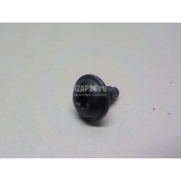 Болт крепления дверной петли VAG A4 [B8] (2007 - 2015) WHT003237