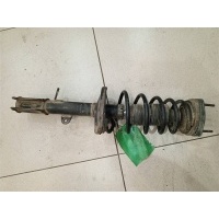Амортизатор задний левый Toyota Corolla Spacio E110 1997-2001 1998 4854019305