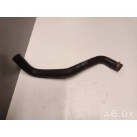 Патрубок (трубопровод, шланг) Renault Kangoo 2 2007 215,21503BN700