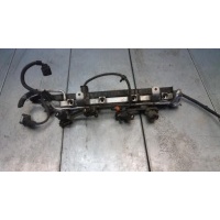 Топливная рампа Volkswagen Bora 1 поколение 2002 06A133681B, 0280160557, 027133035C