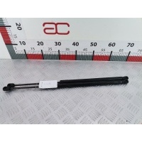 Амортизатор капота Volkswagen Touareg 1 (2002-2010) 2003 4238RR,7L6823359B