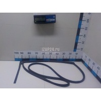 Уплотнитель двери Hyundai-Kia Solaris (2010 - 2017) 831304L000