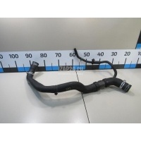 Патрубок радиатора Renault Scenic III (2009 - 2015) 215017612R