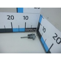 Вставка замка двери лев. BMW X3 F25 (2010 - 2017) 51217290471