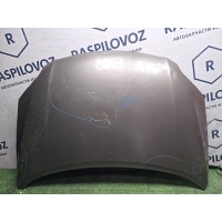 капот Toyota Corolla Fielder NZE144 2010 5330112A30, STTY310150