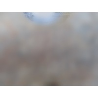 Крепежная пластина, SCANIA Scania P R G 1482498, 2267544