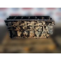 Блок цилиндров двигателя DXI11 Renault Renault Premium 7422073580