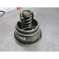 Термостат двигателя DXI11 Renault Renault Premium 7421412639