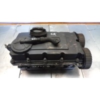 Головка блока цилиндров Audi A6 C6/4F 2004 03G103373,03G103308A,AZV,BKD,BKP,BLB, BMA,BMN,BMR,BNA,BRD.BRE,BRF,BUY,BUZ,BVA,BVE,BVF,BVG,BWV