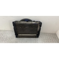 кассета радиаторов BMW 3 E90/E91/E92/E93 2011 7524912,17107524912,6292852