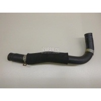 Патрубок Hyundai-Kia Grand Santa Fe (2013 - 2018) 256502F000