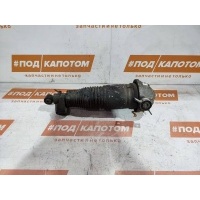 пневмостойка задняя правая Audi Q7 4L(2005-2009) 2009 7L0512345,7L8616404B