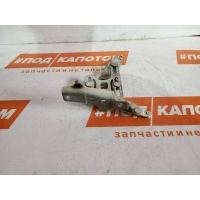 петля капота левая BMW X5 E70(2006-2010) 2008 41007198617,41117174381,41617208629