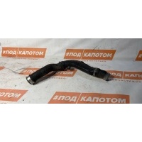 патрубок интеркулера Volkswagen Tiguan (2007-2011) 2009 1K0145840R