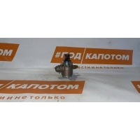Блок управления ТНВД Volkswagen Passat B7(2010-2015) 2013 06J127065A