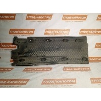 Защита днища кузова Volkswagen Tiguan (2007-2011) 2008 2NO825201,3C0803205