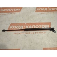 амортизатор крышки багажника левый Volkswagen Tiguan (2007-2011) 2008