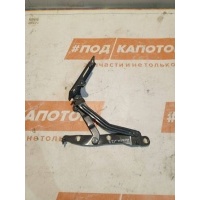 петля крышки багажника правая Opel Astra H(2004-2007) 2006 KA5728D