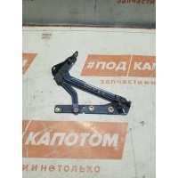 петля крышки багажника правая Ford Focus 2(2004-2008) 2006 YS41-F42700-AA