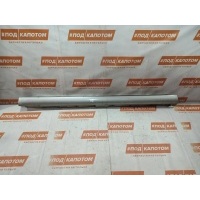 накладка на порог Toyota Avensis 2 (T250)(2003-2006) 2004