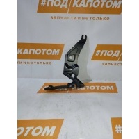 петля капота левая BMW X5 E70(2006-2010) 2008 41007198617,714834710,7198617,41617208639