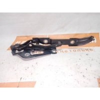 петля крышки багажника левая BMW 3 E90(2004-2013) 2010 7060627