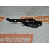 петля крышки багажника правая BMW 3 E90(2004-2013) 2010 7060628