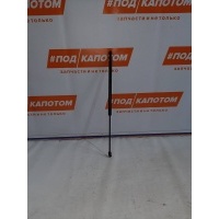 амортизатор крышки багажника Opel Astra J(2009-2012) 2011 315005777