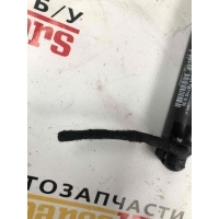 Амортизатор крышки багажника (3-5 двери) BMW 7 G11 2016 178939 10