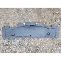 Защита бампера переднего Mercedes-Benz GLE W166 2017 A1665200023