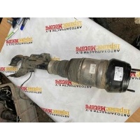 Пневмостойка передняя Mercedes-Benz ML W166 2013 A1663201413, R309513905