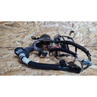 Проводка двери RENAULT Scenic 1 1998 8200048709