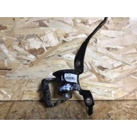 Петля крышки багажника AUDI A4 B7 2007 8E9827299F