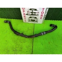 Патрубок системы охлаждения Audi A4 (B9), 8W2, 8W5 Audi A4 B9 (2015—2020) 8W2 2016 8W0819342C