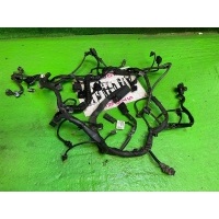 Проводка двигателя на C-Class, C204, S204 (M271) Mercedes-Benz C-класс W204/S204/С204 рестайлинг (2011—2015) C204 2013 A2711509133