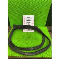 Уплотнитель двери на BMW 6-Series, F06, F12, F13 BMW 6 серия F13/F12 (2011—2015) F06 2013 51357275315