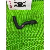 Патрубок системы охлаждения Audi A4 (B9), 8W2, 8W5 Audi A4 B9 (2015—2020) 8W5 2017 8W0122448A