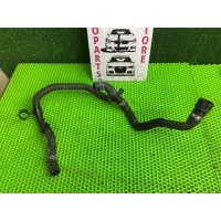 Патрубок системы охлаждения Audi A4 (B9), 8W2, 8W5 Audi A4 B9 (2015—2020) 8W5 2017 8W0121087E