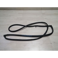 Уплотнитель двери Geely Emgrand EC7 I (2009—2016) Geely Emgrand EC7 I (2009—2016) FE-2 2013 1068002067