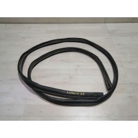 Уплотнитель проема двери Renault Logan I (2004—2009) Renault Logan I (2004—2009) 2006 6001547017