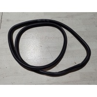 Уплотнитель проема двери Chevrolet Cruze I (2009—2012) Chevrolet Cruze I (2009—2012) J300 2011 96931467