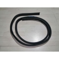 Уплотнитель проема двери Renault Logan I (2004—2009) Renault Logan I (2004—2009) 2006 6001547017