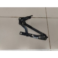 Петля крышки багажника Ford Ford Focus 1 1998-2004 8S4Z5442700A
