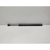амортизатор капота Jaecoo J8 554000486AA