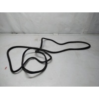 уплотнительная резинка Jaecoo J8 603000280AA