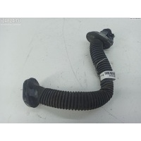 Гофра проводки двери Audi A4 B6 (2001-2004) 2002 8E9971840